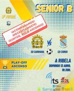 1304Sarriana
